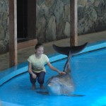 Corinna bei den Delfinen