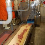 Surimi Produktion Zwischenschritt