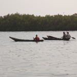 Gambia Einbaum