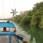 Gambia Flussfahrt