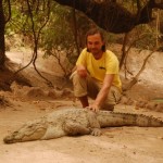 Gambia Krokodil angreifen