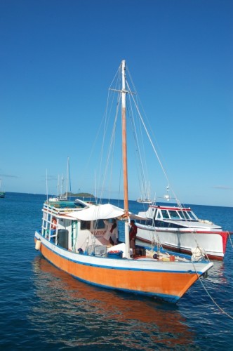 Fischer unter Segeln Cariacu Grenada