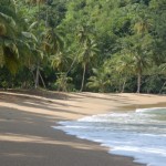 Tobago Strand Englishmans bay